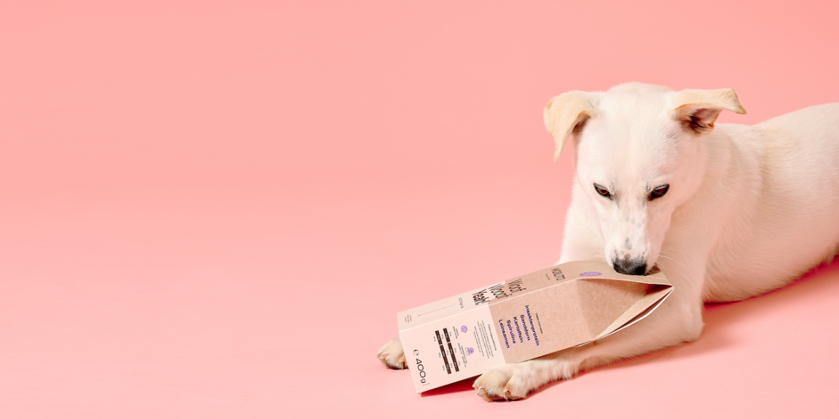 Hundefutter aus Insekten: Startup sagt Futterindustrie den Kampf an