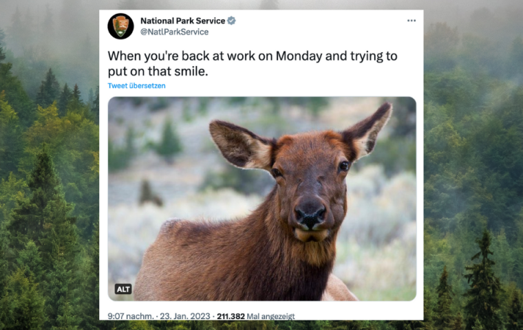 10 Tier-Memes, für die wir der National-Park-Crew einen Orden verleihen