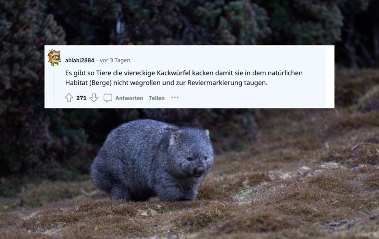8 Fakten, die nicht lebenswichtig, aber absolut verblüffend sind