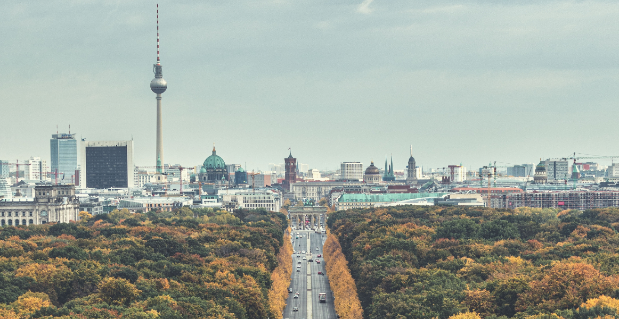 Go Green: Sechs nachhaltige Startups aus Berlin