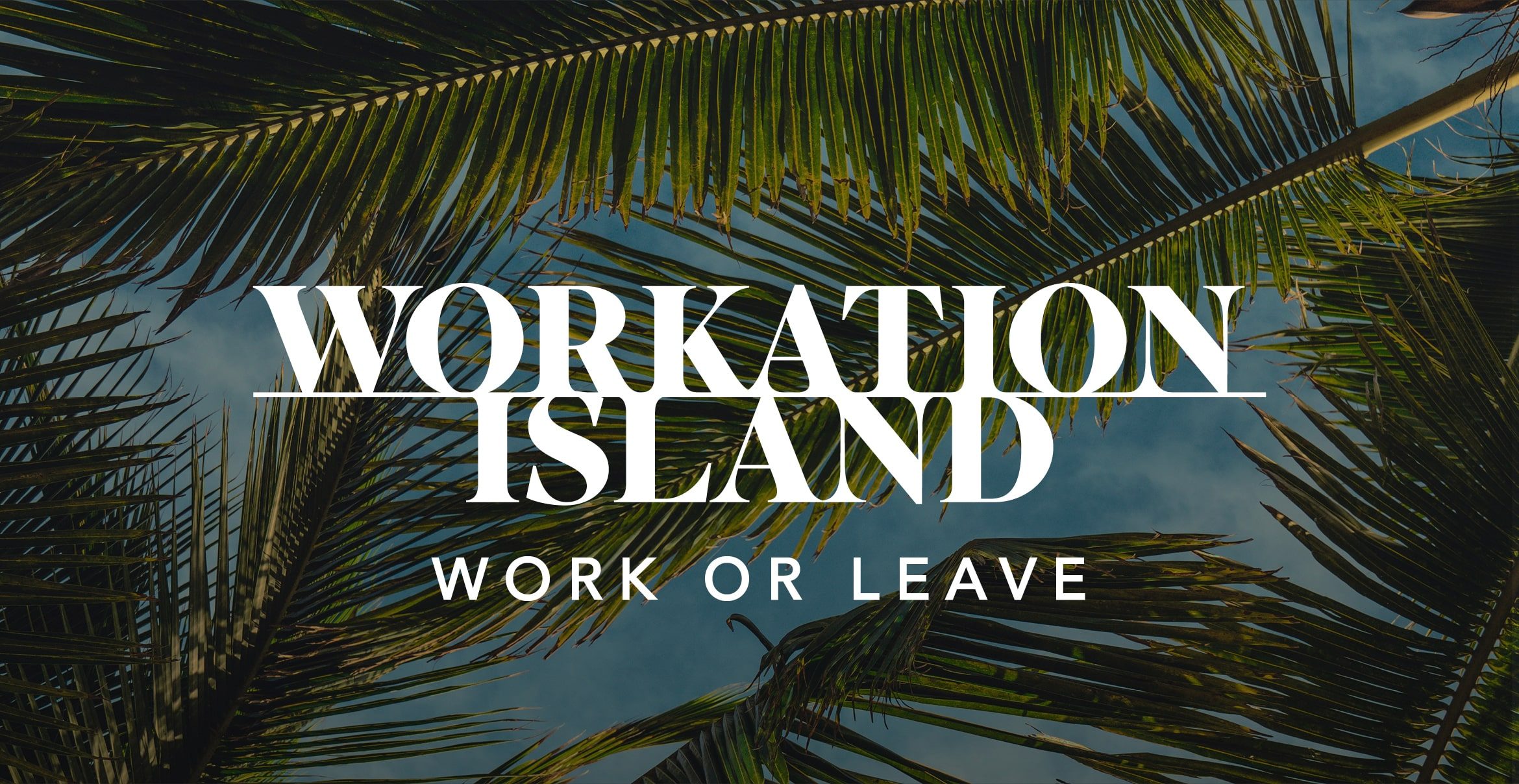 Business-Trash-TV: Workation Island