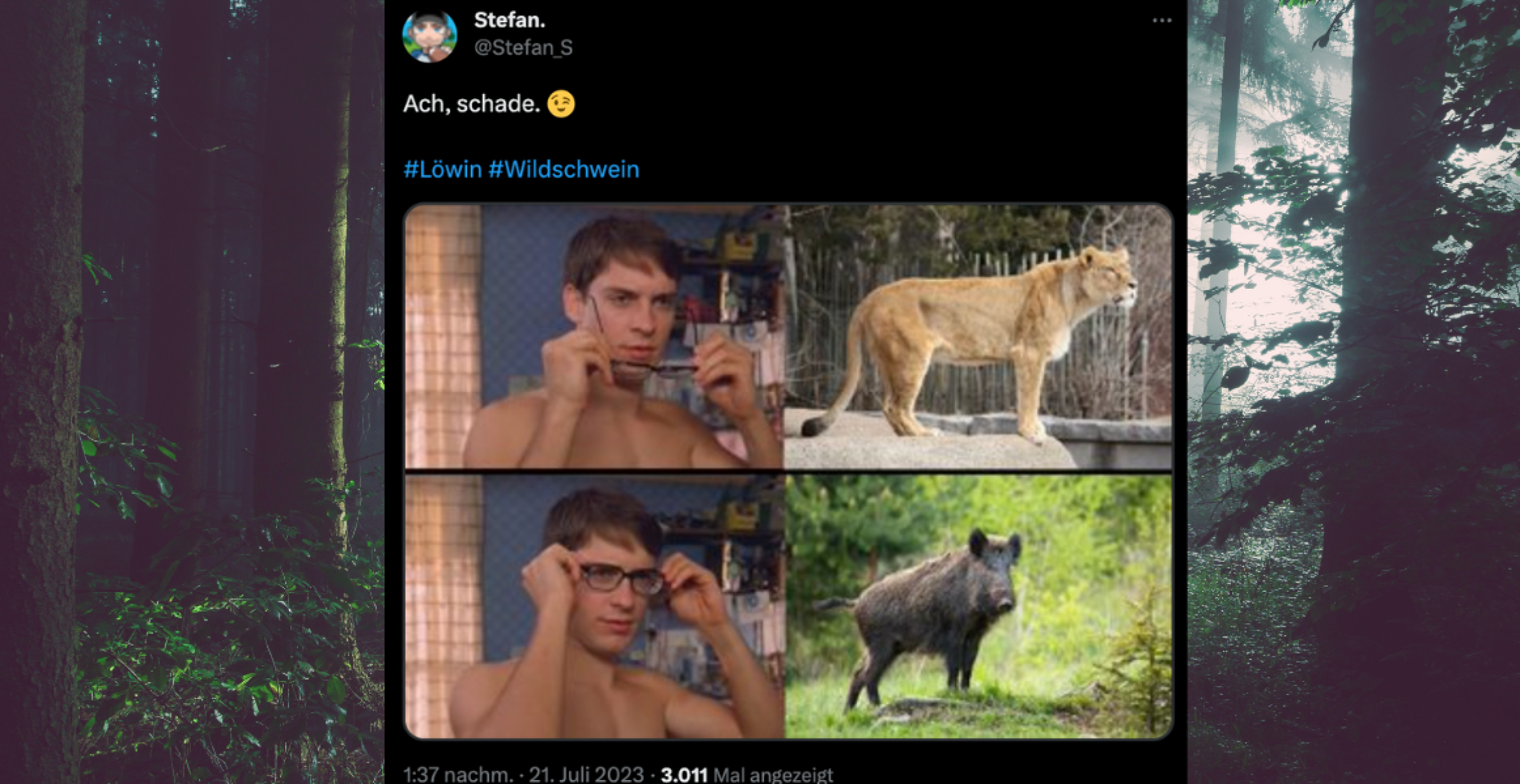 Nur halb so wild: 10 enttäuschte Reaktionen zur Löwensuche