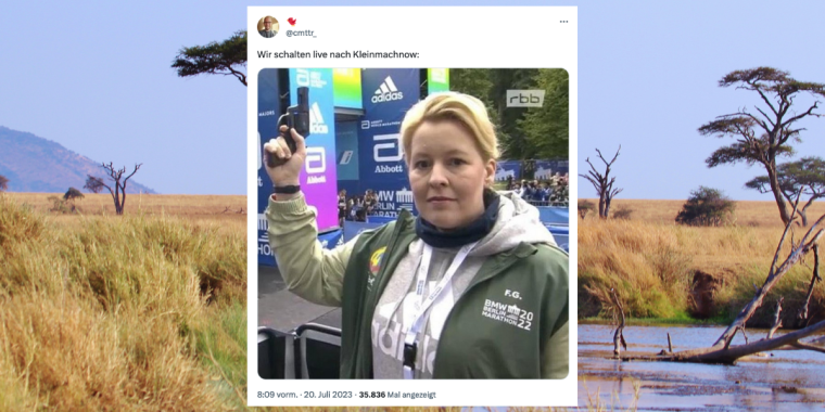 Entlaufene Löwin: 12 Tweets, die wilder sind als die Polizei erlaubt