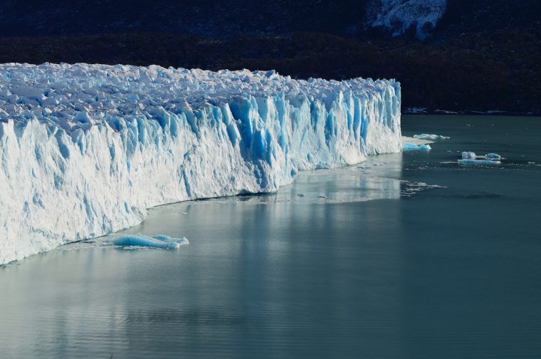 Kündigen fürs Klima: Was Unternehmen gegen Climate Quitting tun können