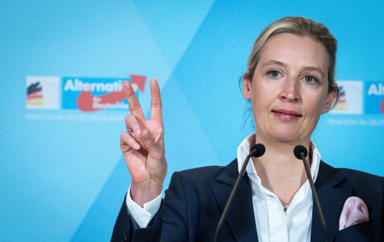 Der größte Spender der AfD sind wir alle