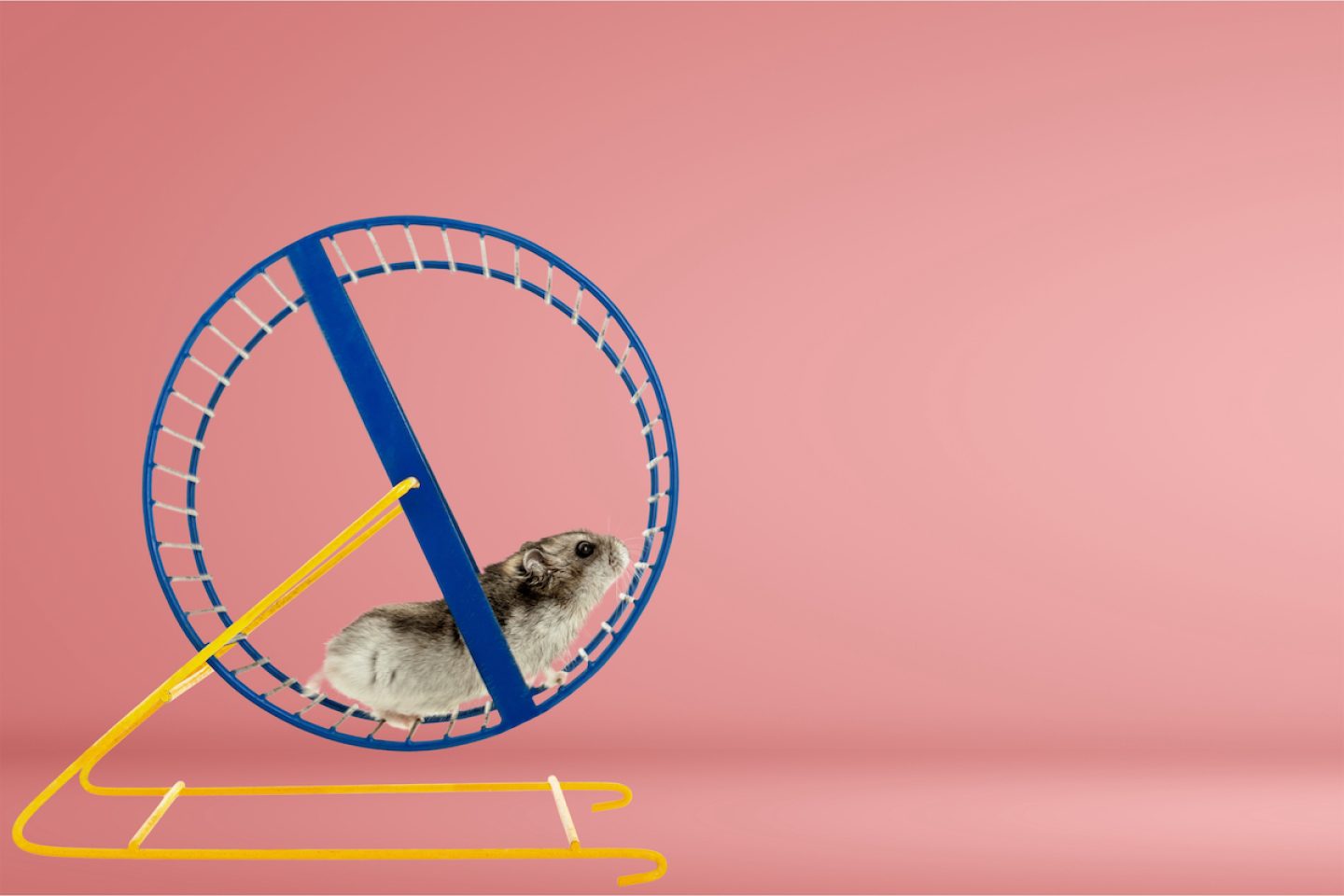 Endlich raus aus dem Hamsterrad: Wie man eine Auszeit im Job plant