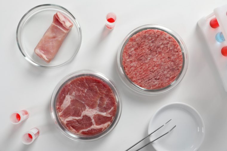 Die Zukunft des Fleischkonsums: Wird Laborfleisch bald alltagstauglich?