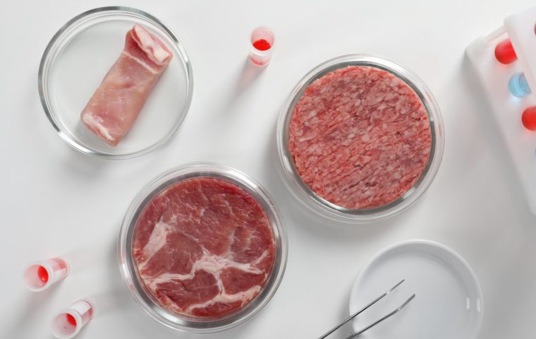Die Zukunft des Fleischkonsums: Wird Laborfleisch bald alltagstauglich?