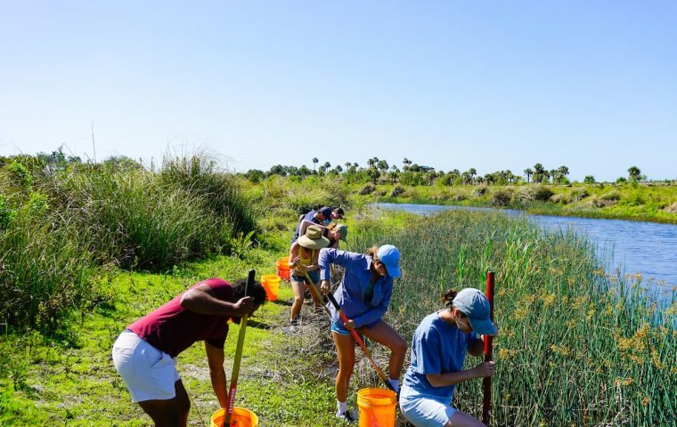 Warum Unternehmen Social Days einführen sollten: Die Vorteile von sozialem Engagement am Arbeitsplatz
