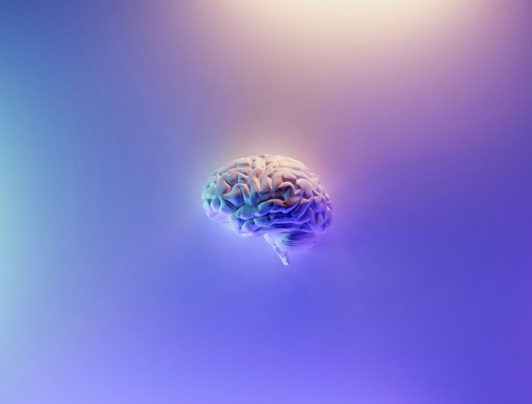 Ein Hirnimplantat half gegen Epilepsie. Bis die Herstellerfirma pleite ging