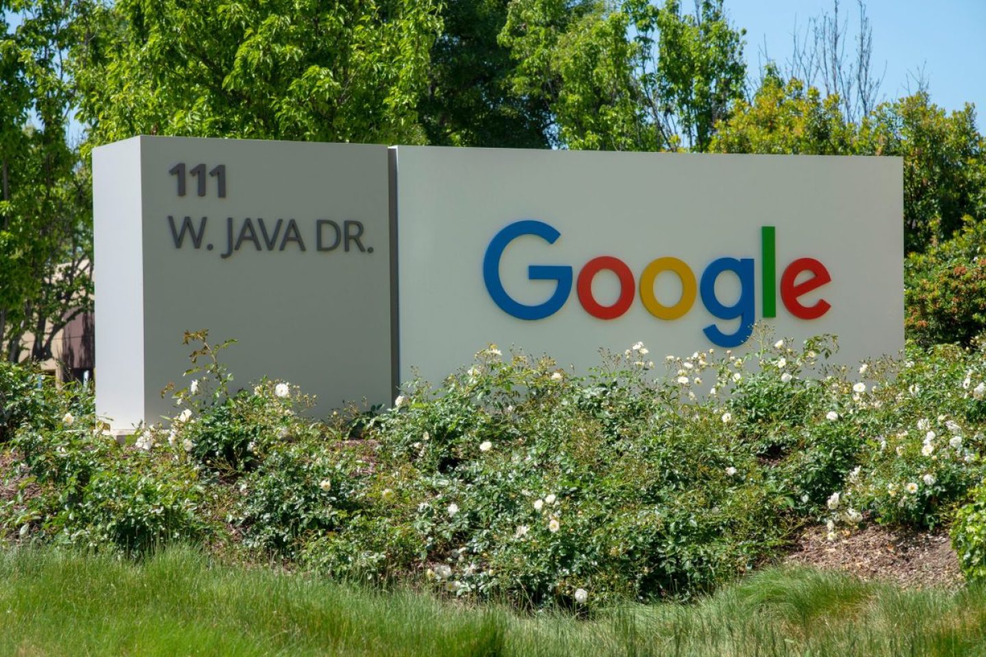 Neuer Kurs bei Google: Entlassungen und Umstrukturierungen 