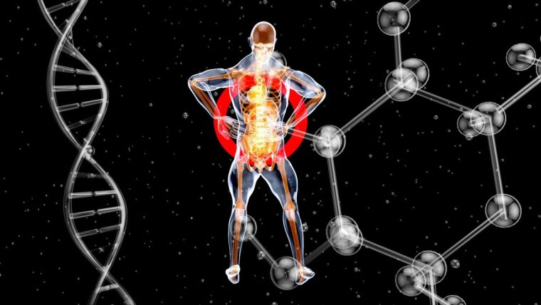 Fünf Longevity-Tipps für Gründer, die wirklich etwas bringen 