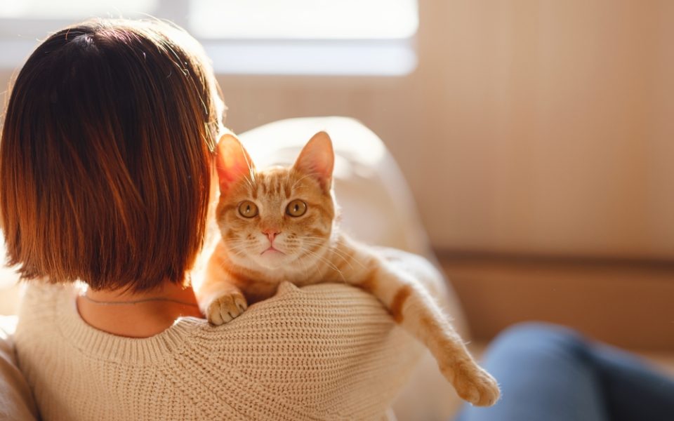 Die Traumberufe für Katzenliebhaber!