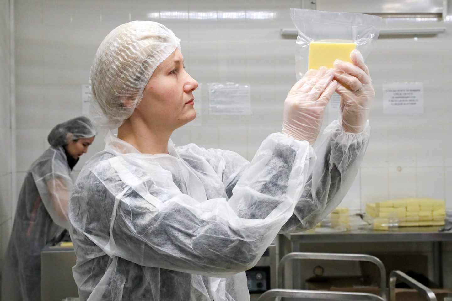 Revolution im Kühlregal: Formo bringt Käse vom Koji-Pilz in die Supermärkte