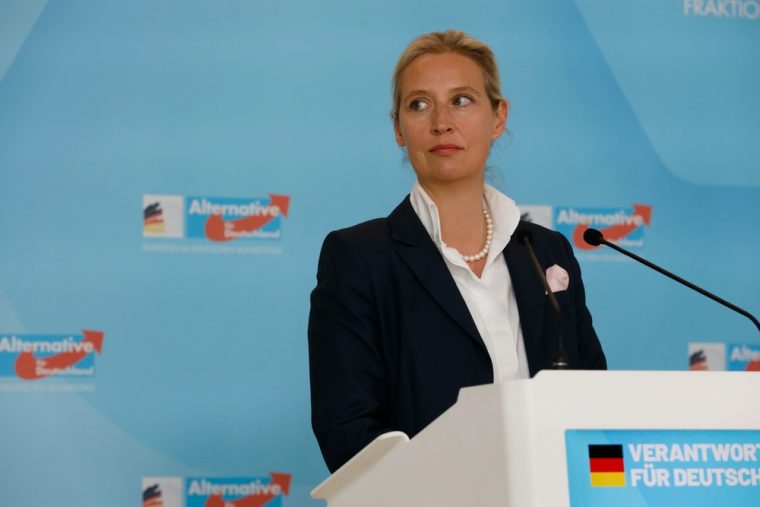 „Dann verlieren alle den Verstand“ – Musk und Weidel geben Vorgeschmack auf ihr Aufeinandertreffen