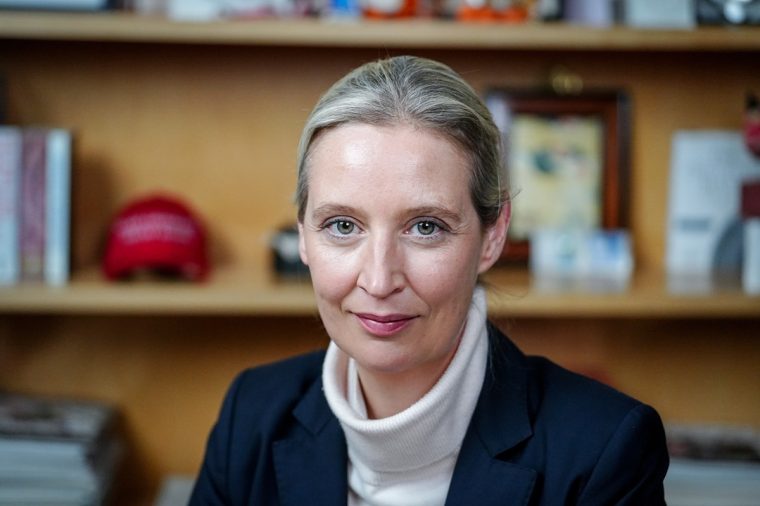 Musk meets Weidel: Wenn Tech-Giganten Wahlkampf machen