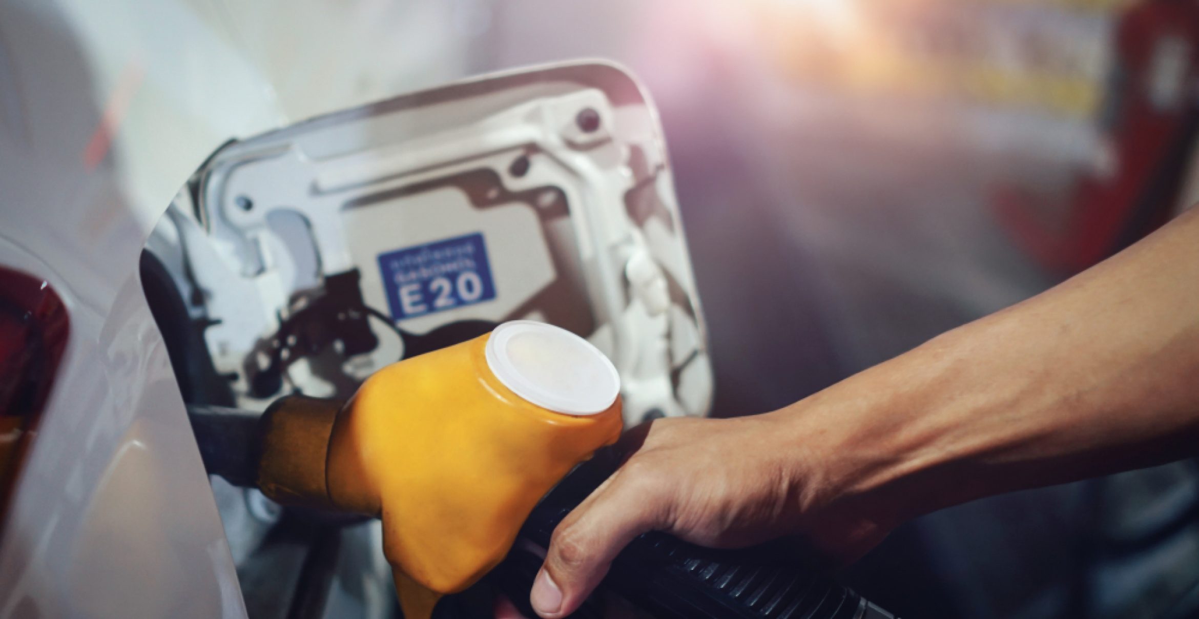 Tanken für KlimaWildnisBotschafter*innen – wohin die gestiegene CO2-Abgabe fließt