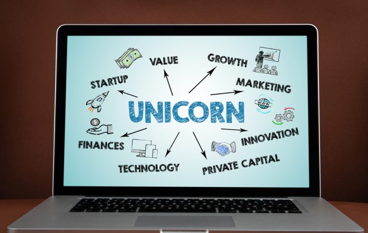 Unicorn-Wunder: Warum einige Startups blitzschnell Milliarden erreichen
