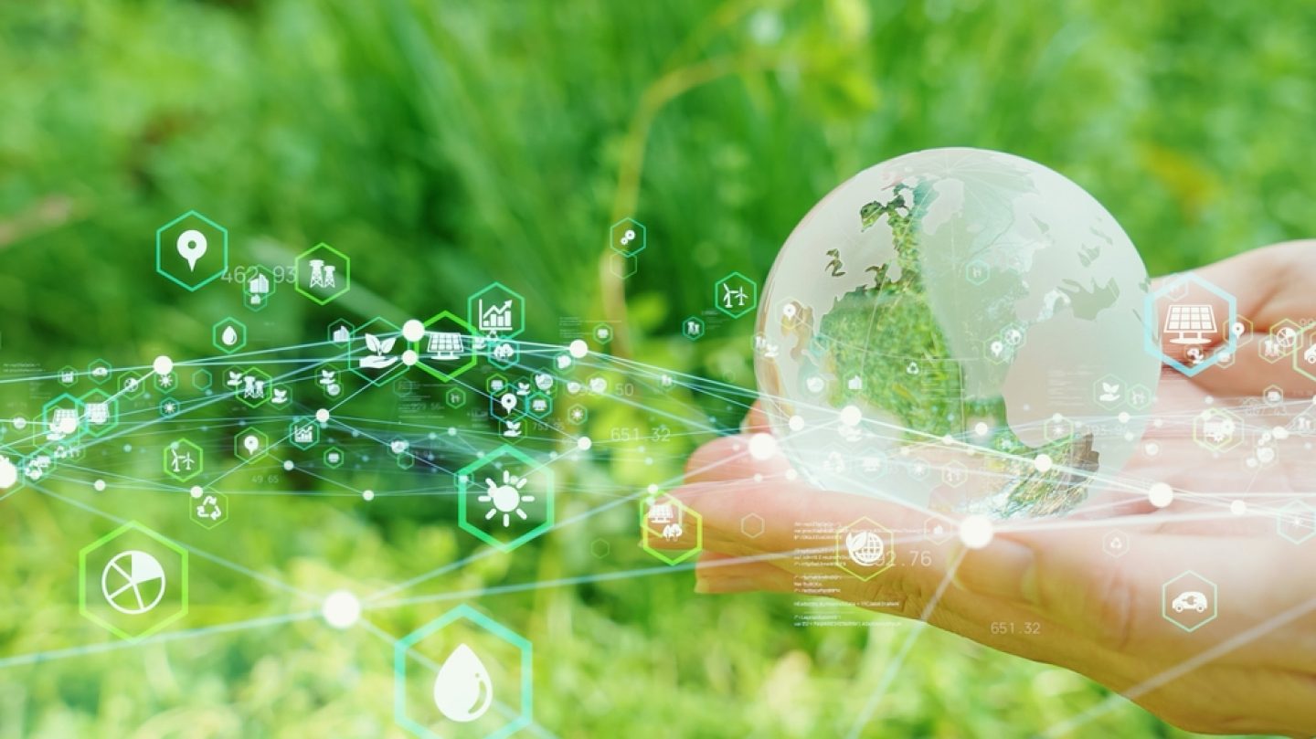 RIP Climate Tech? Warum 2025 noch nicht das Ende der grünen Innovation ist