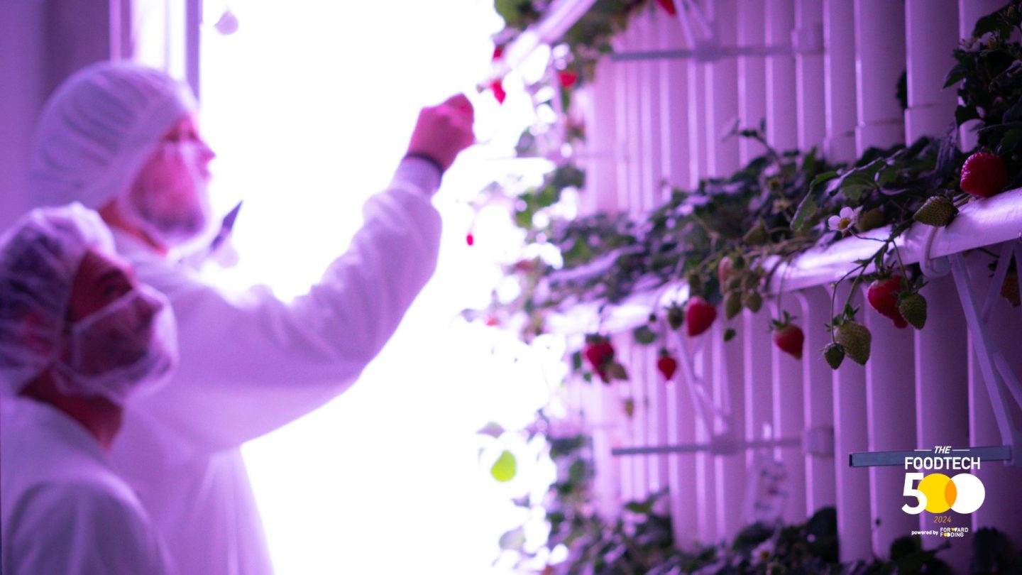 Vertical, Smart, Global – vGreens mischt die FoodTech-Welt auf
