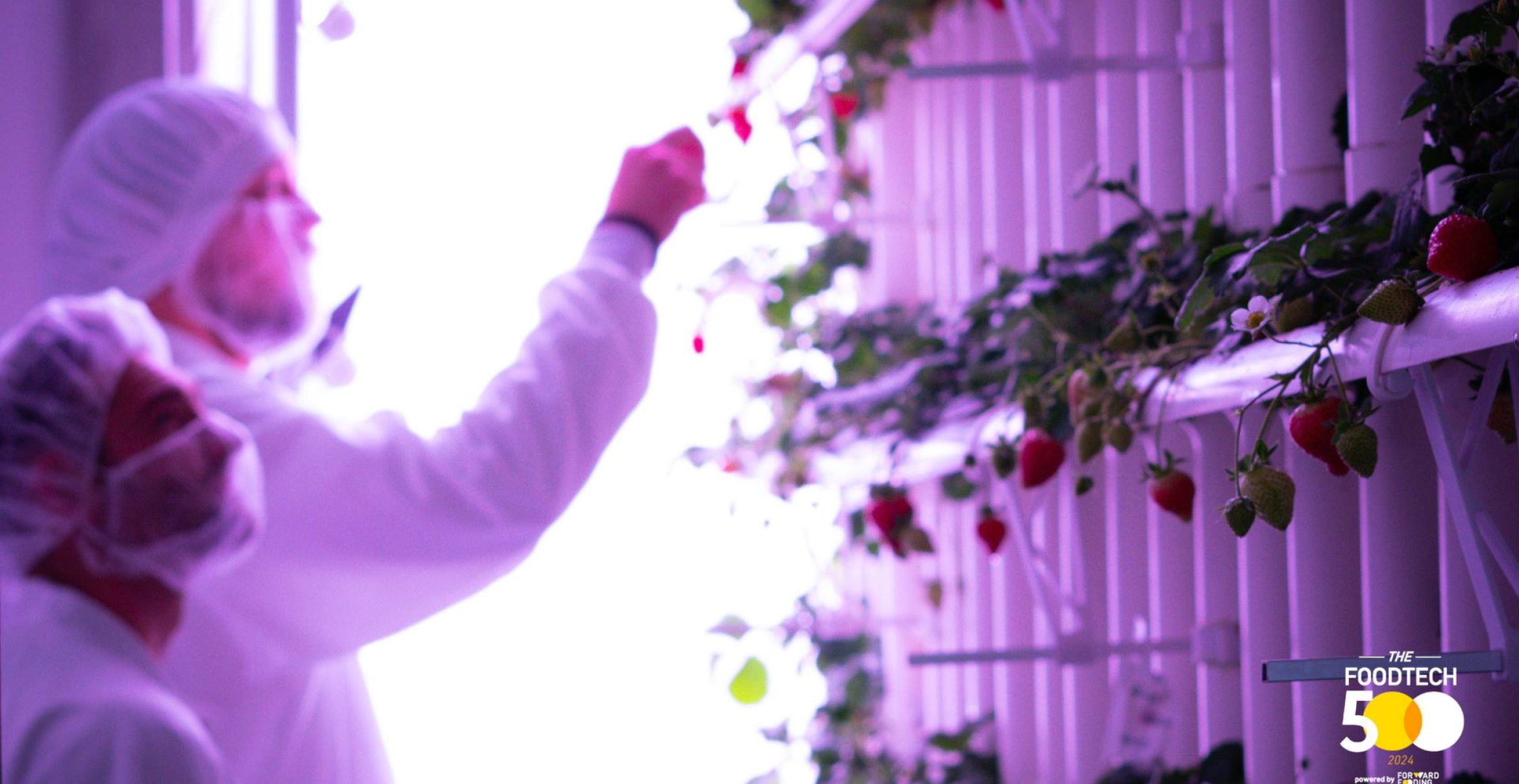Vertical, Smart, Global – vGreens mischt die FoodTech-Welt auf