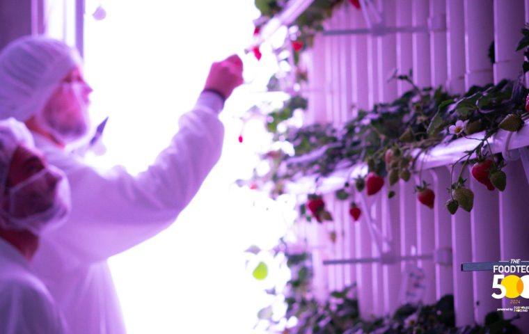 Vertical, Smart, Global – vGreens mischt die FoodTech-Welt auf