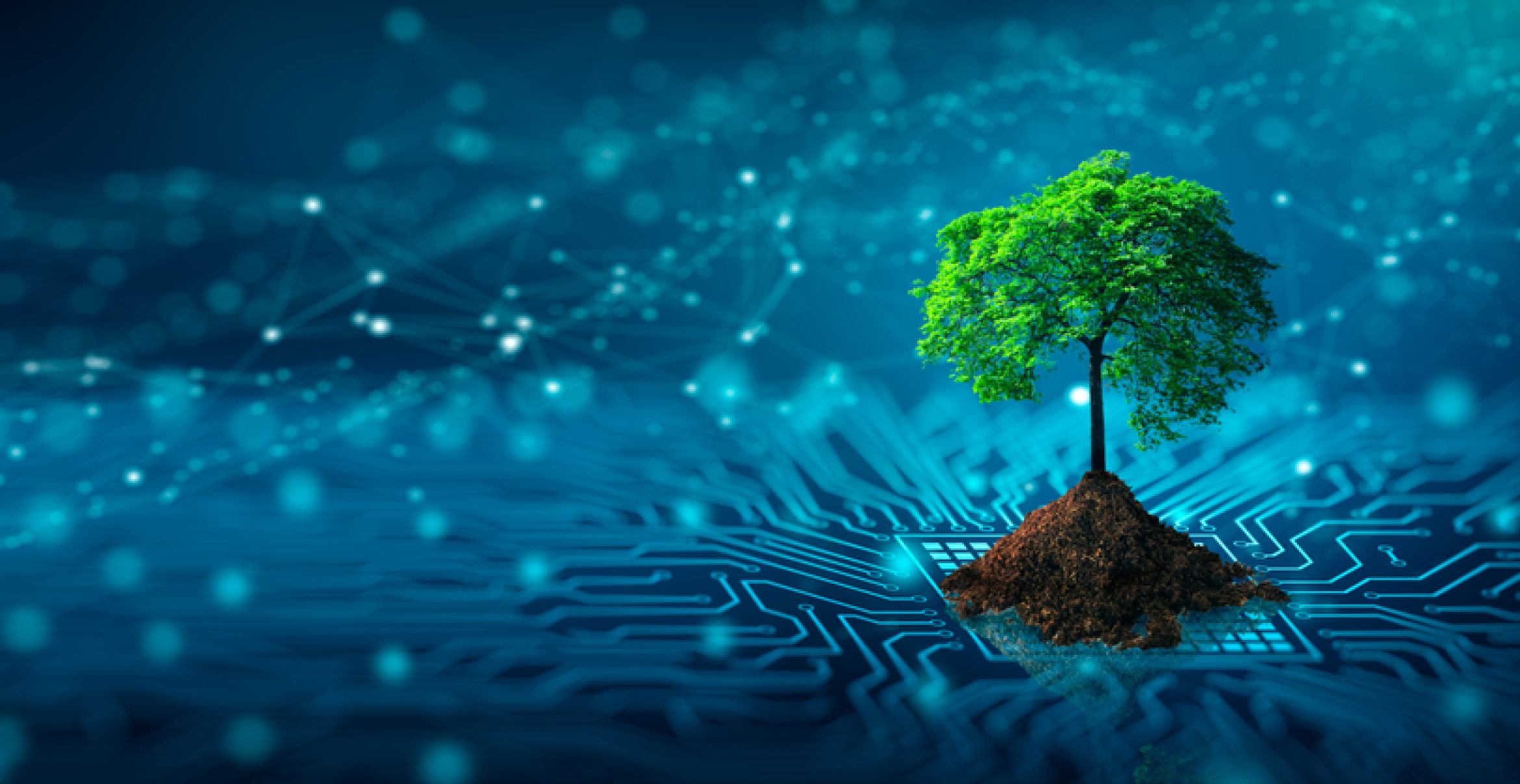 GreenTech Monitor 2025: Diese Klimatech-Trends machen Startups zum Milliardengeschäft