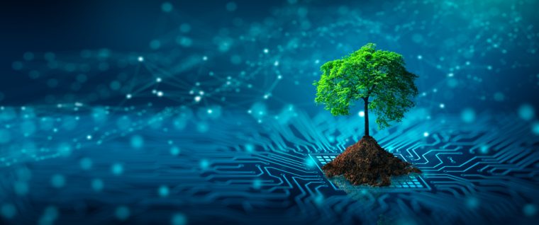 GreenTech Monitor 2025: Diese Klimatech-Trends machen Startups zum Milliardengeschäft