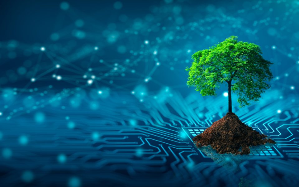 Der GreenTech Monitor 2025 ist da