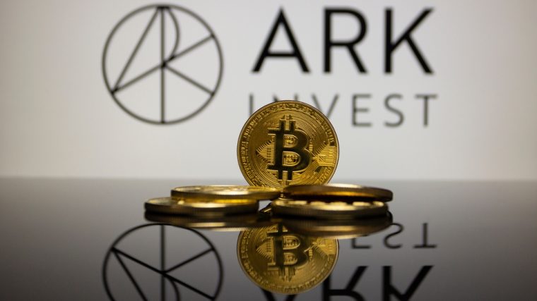 50-Millionen-Wette: Cathie Wood kauft Robinhood und Coinbase im Crash