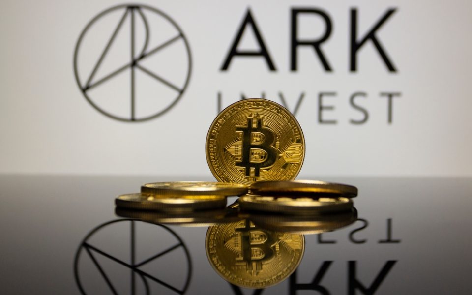 Cathie Wood und Ark Invest