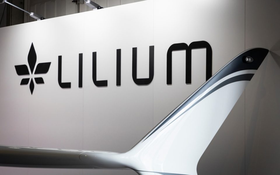 Lilium