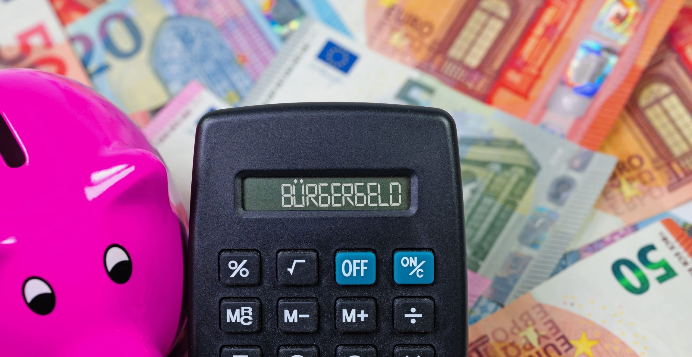 Sozialschmarotzer sind sie beide