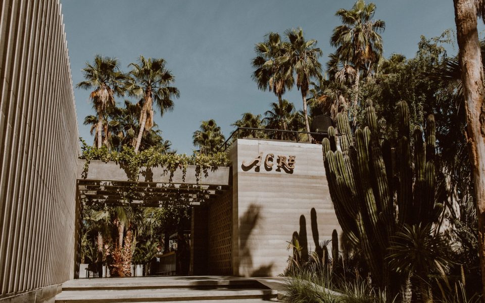Das Acre Resort in Los Cabos: der Palmendschungel, den die HBO-Produzenten übersehen haben – wilder, kompromissloser, realer.