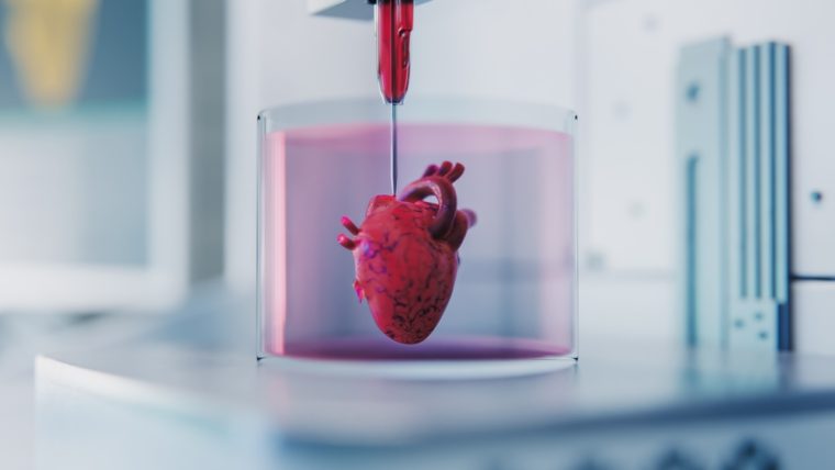Organe auf Knopfdruck: Wie diese Startups die Medizin neu drucken