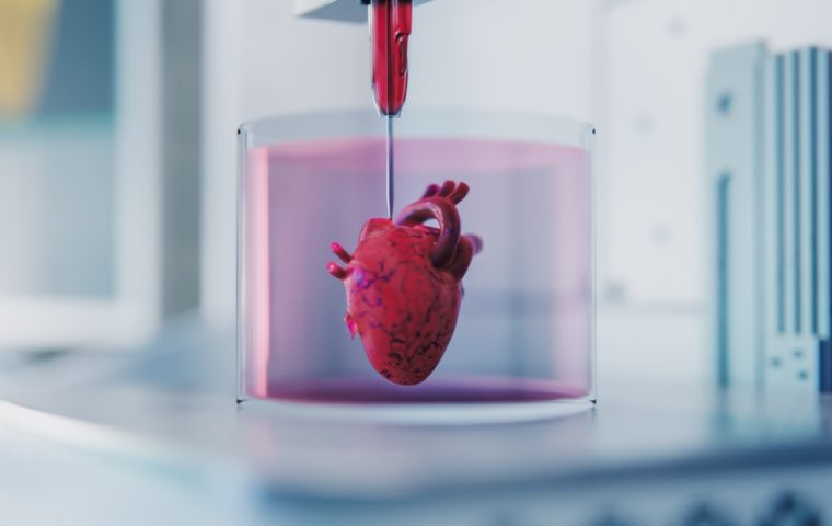 Organe auf Knopfdruck: Wie diese Startups die Medizin neu drucken