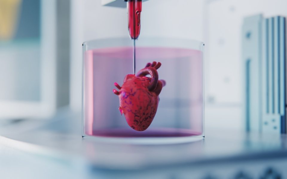 Drucker, der ein Organ aus Zellen konstruiert und lebensfähige 3D-gedruckte Organe entwickelt