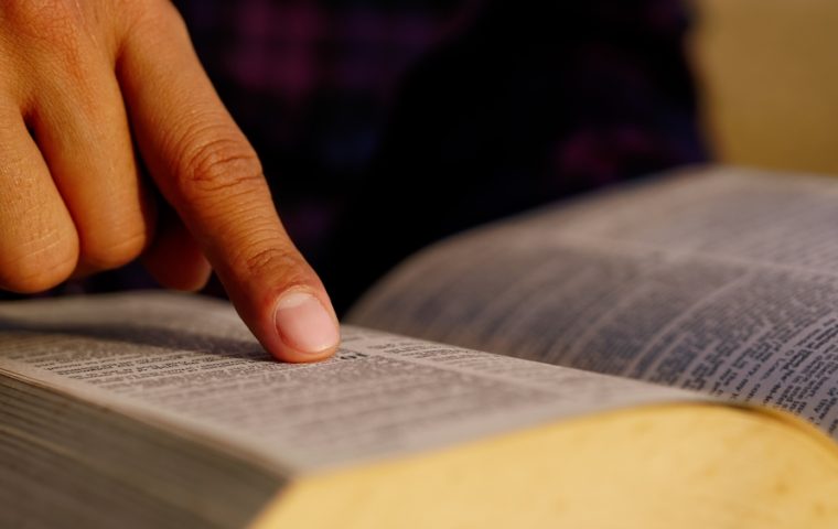 Von „Smash“ bis „Delulu“: Wie Jugendsprache die Wirtschaft erobert