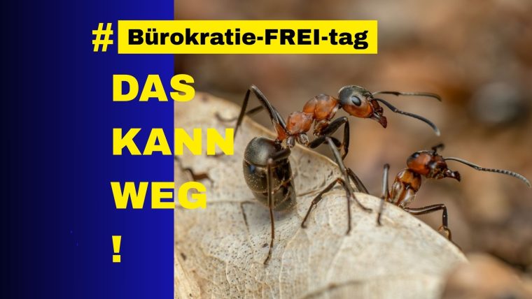 Daseinsvorsorge für Ameisen: Berlin verschiebt mit Rücksicht auf Insekten größtes Wohnungsbauvorhaben um ein Jahr