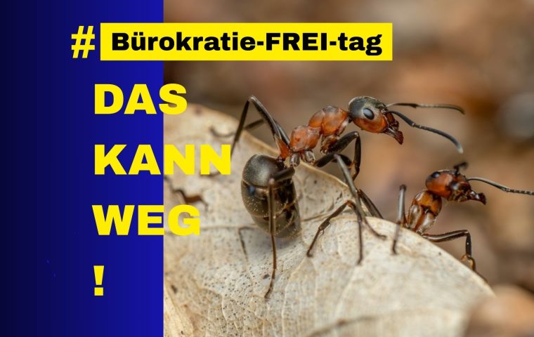 Daseinsvorsorge für Ameisen: Berlin verschiebt mit Rücksicht auf Insekten größtes Wohnungsbauvorhaben um ein Jahr
