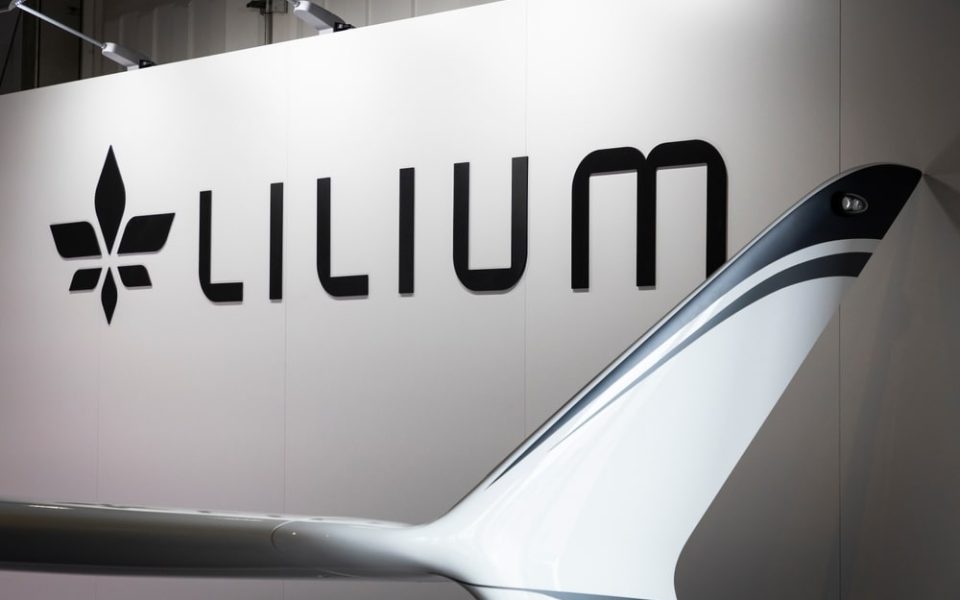 Lilium