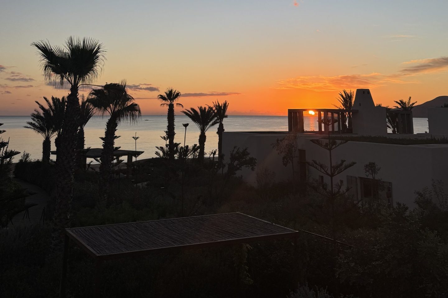 Palastgeflüster und Plasma-Therapie an der marokkanischen Riviera