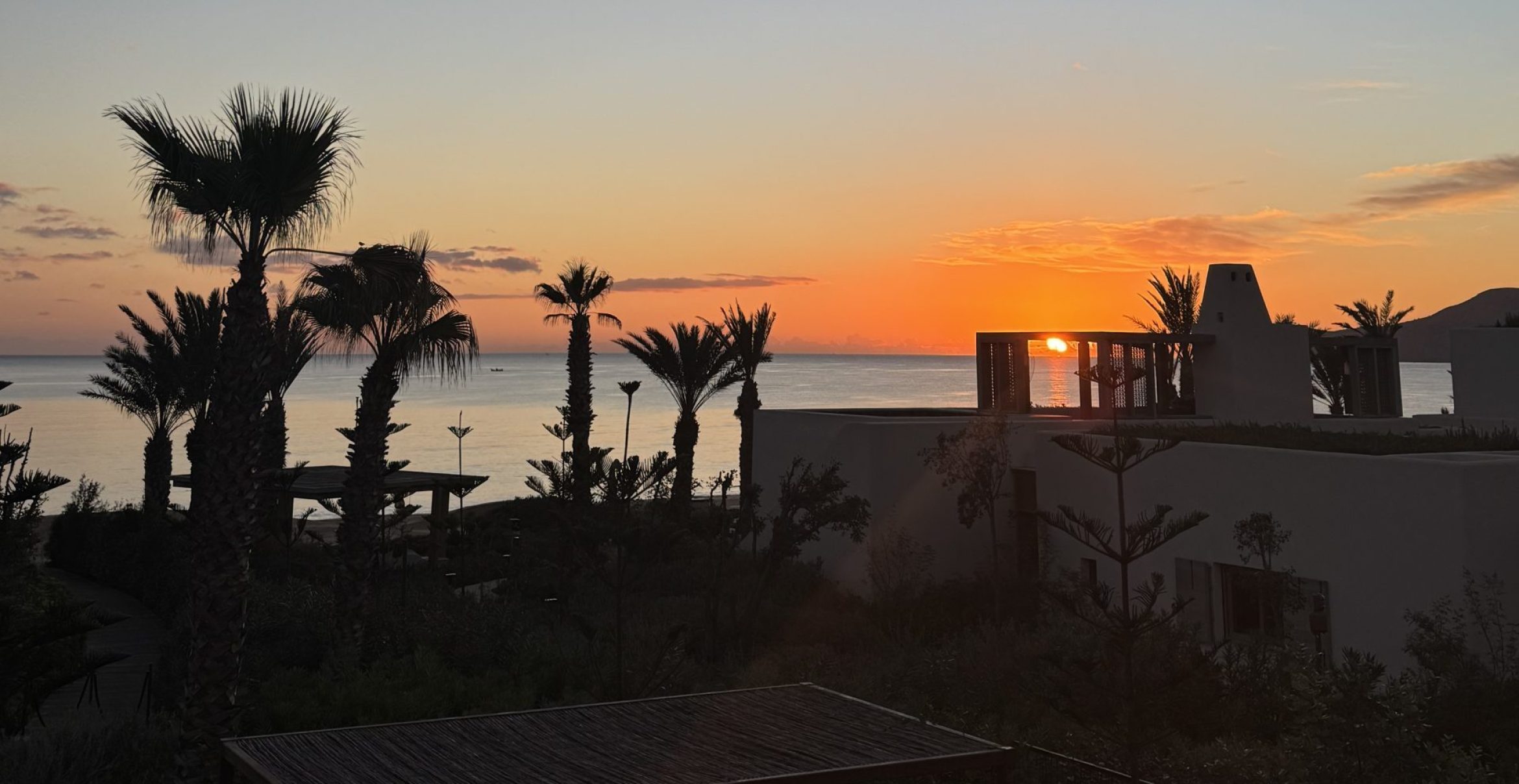 Palastgeflüster und Plasma-Therapie an der marokkanischen Riviera