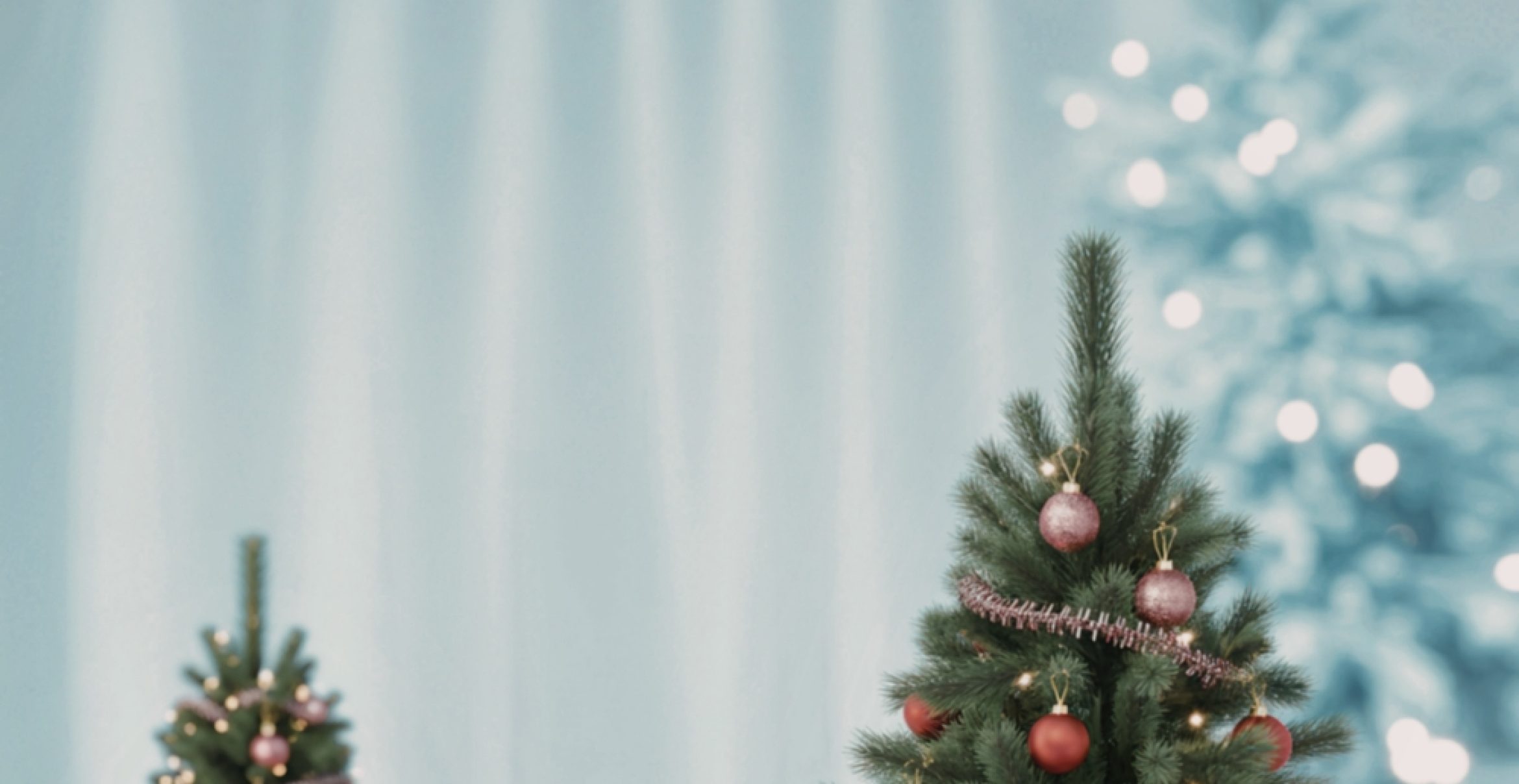 Weihnachtsbaum-Business: 800-Millionen-Markt mit Preisschock