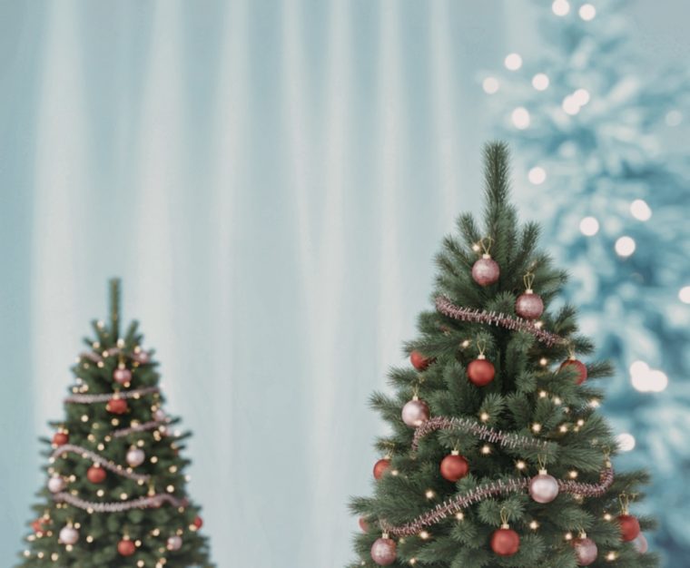 Weihnachtsbaum-Business: 800-Millionen-Markt mit Preisschock