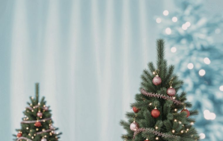 Weihnachtsbaum-Business: 800-Millionen-Markt mit Preisschock