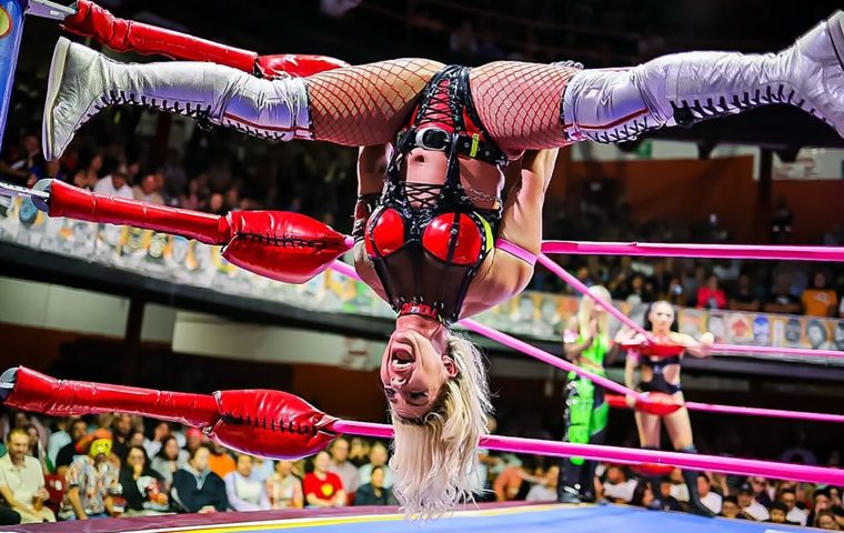 Eine Spinne mit vielen Talenten 