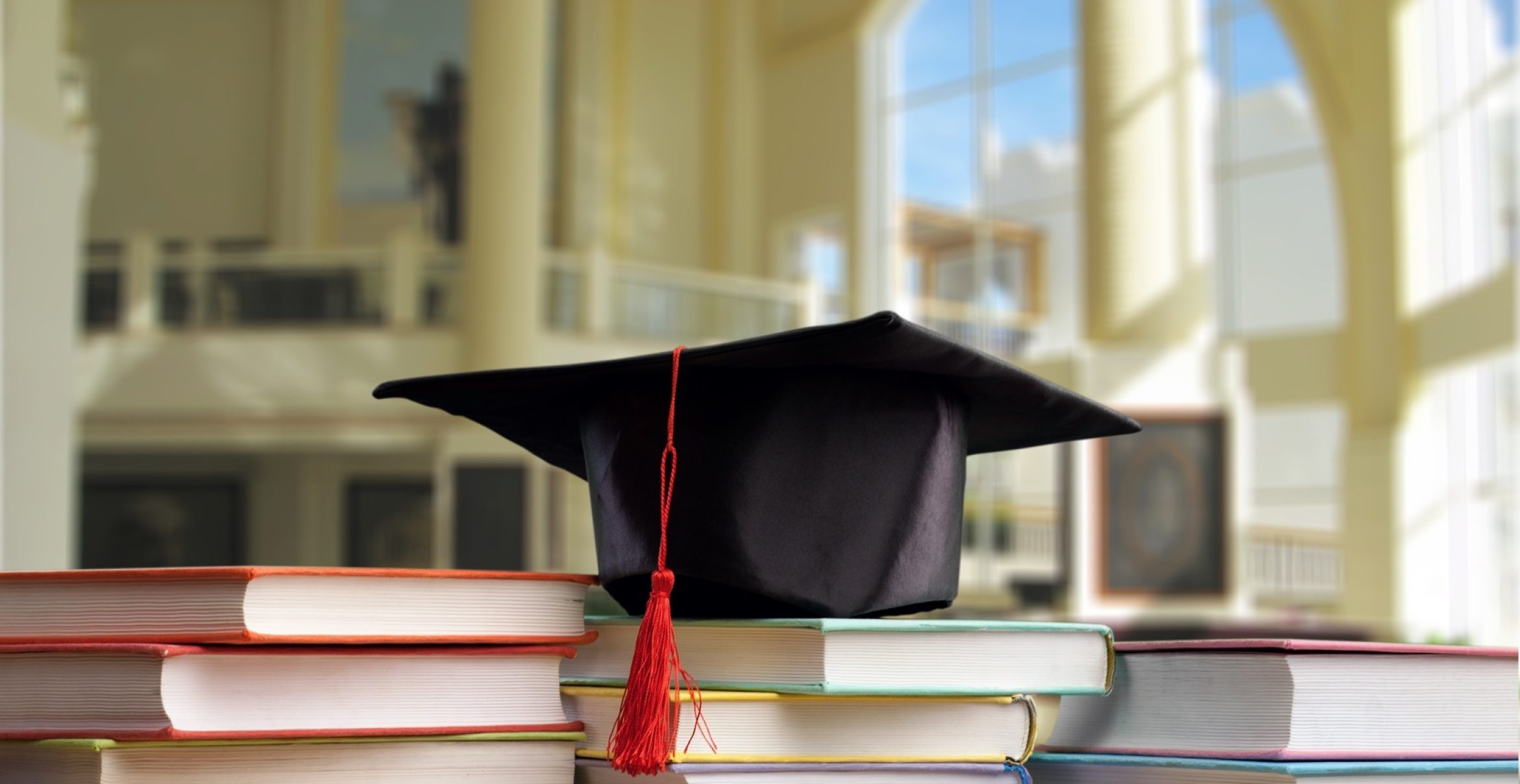 Die Business Punk Academy: Lernen ist jetzt ein Startup