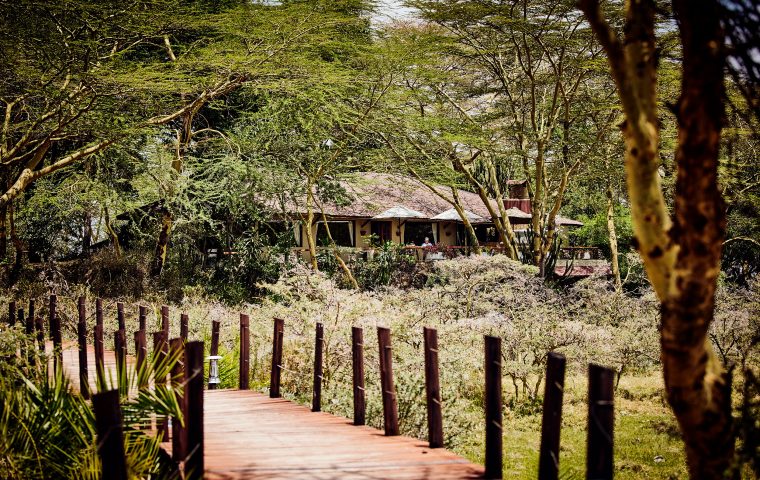Hardy Krügers Afrika lebt weiter: Wie ein deutsches Paar den „Hatari“-Mythos neu erfindet