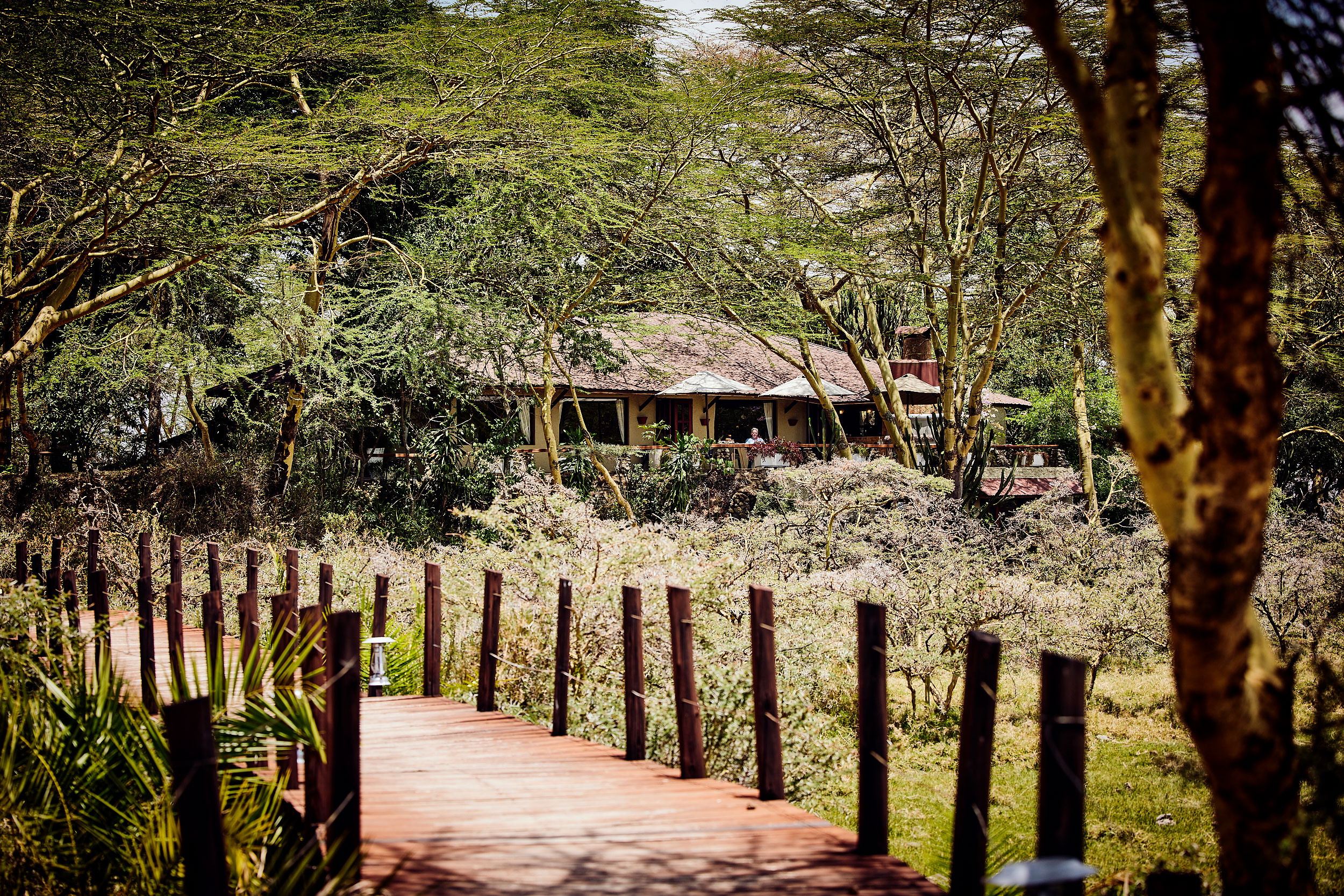 Am Fuß des Kilimandscharo kämpfen Jörg und Marlies Gabriel um die Zukunft einer legendären Safari-Lodge.